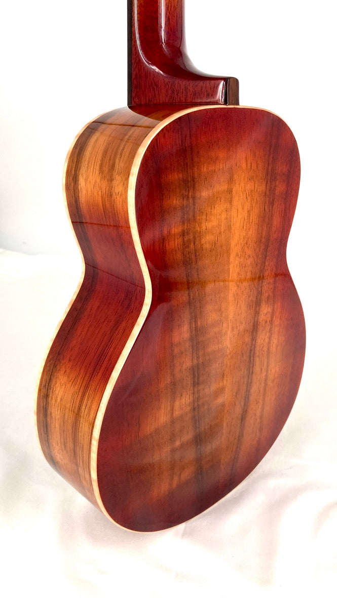 aNueNue Singer RC1K Concert