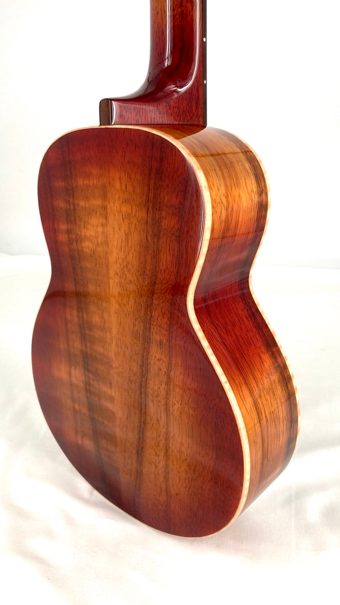 aNueNue Singer RC1K Concert