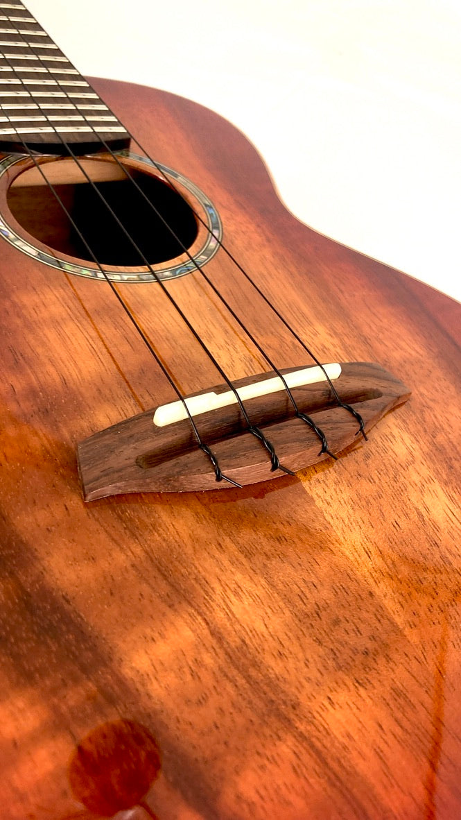 aNueNue Singer RC1K Concert