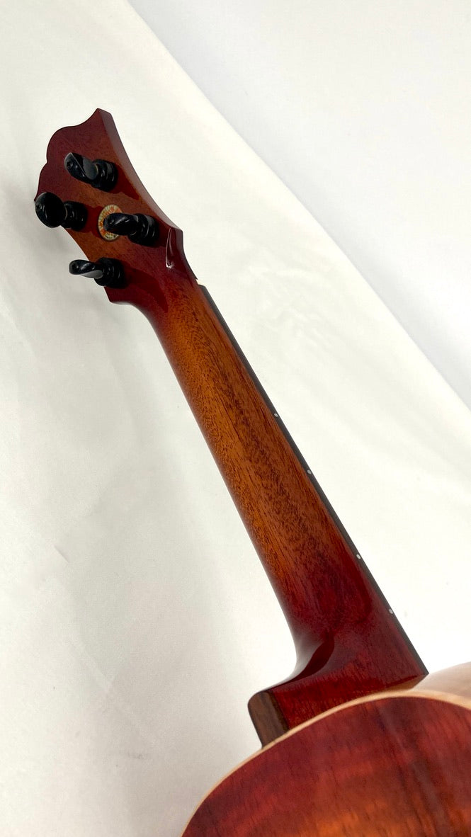 aNueNue Singer RC1K Concert