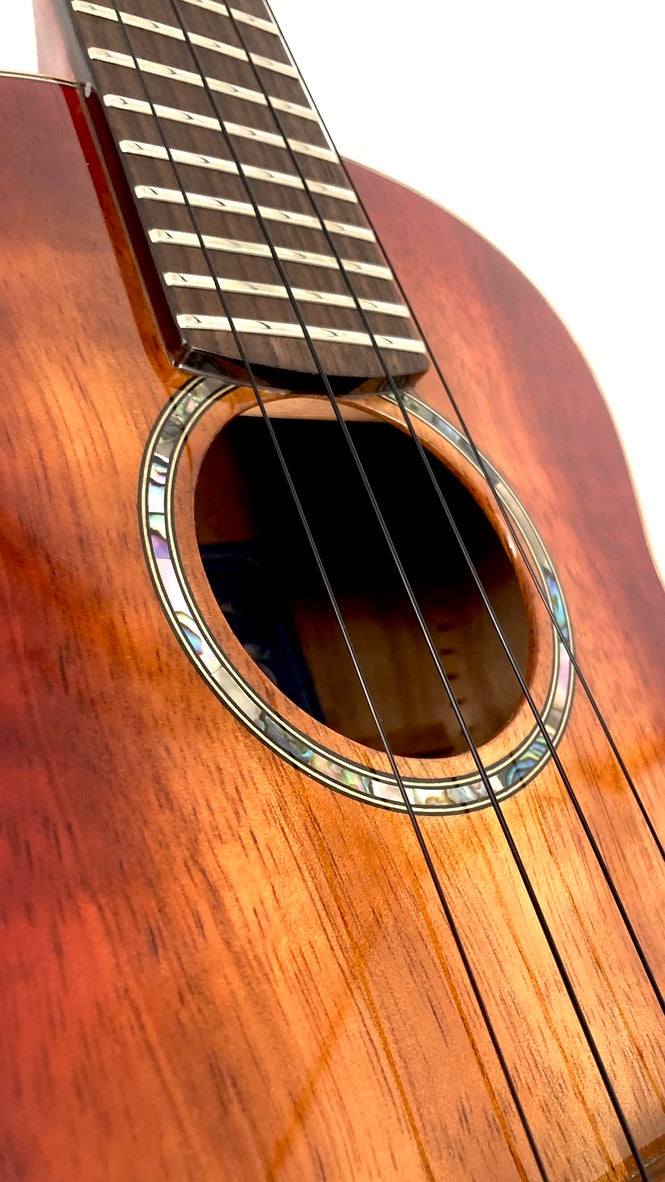 aNueNue Singer RC1K Concert