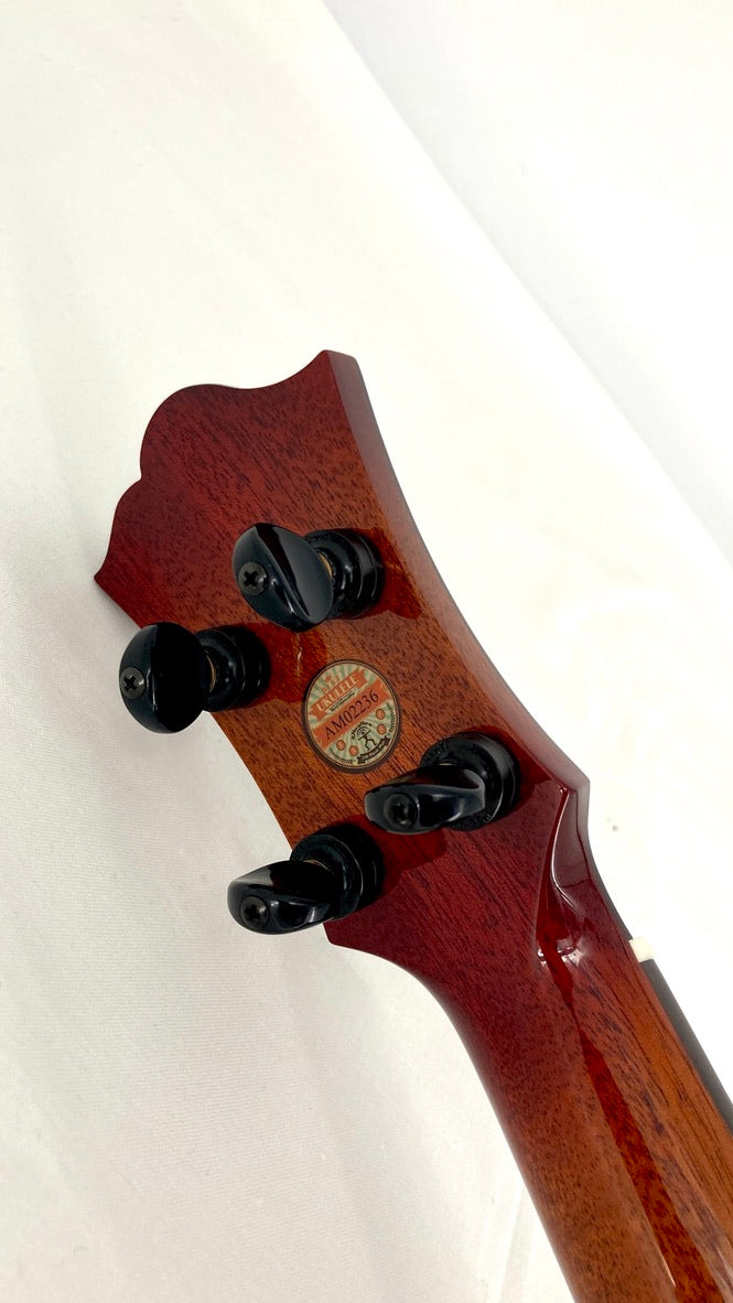 aNueNue Singer RC1K Concert