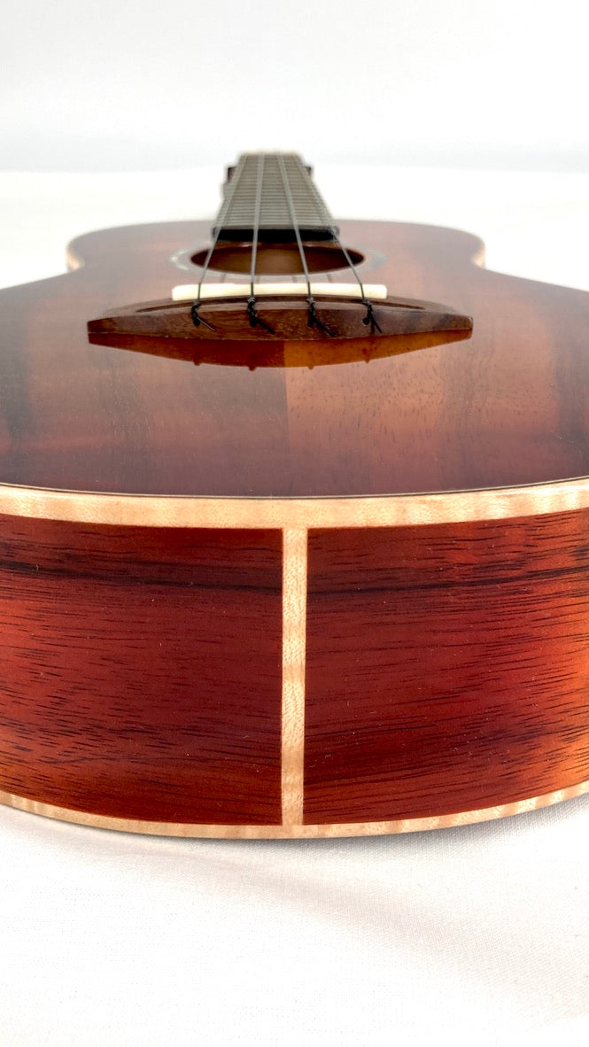 aNueNue Singer RC1K Concert