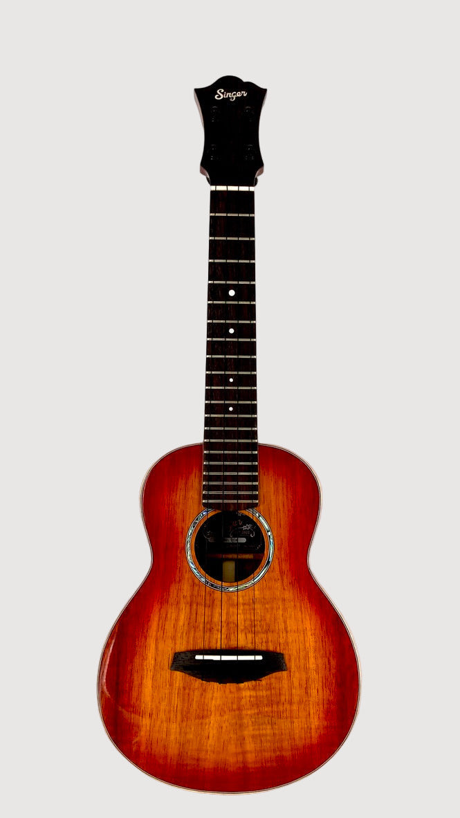 aNueNue Singer RC1K Concert