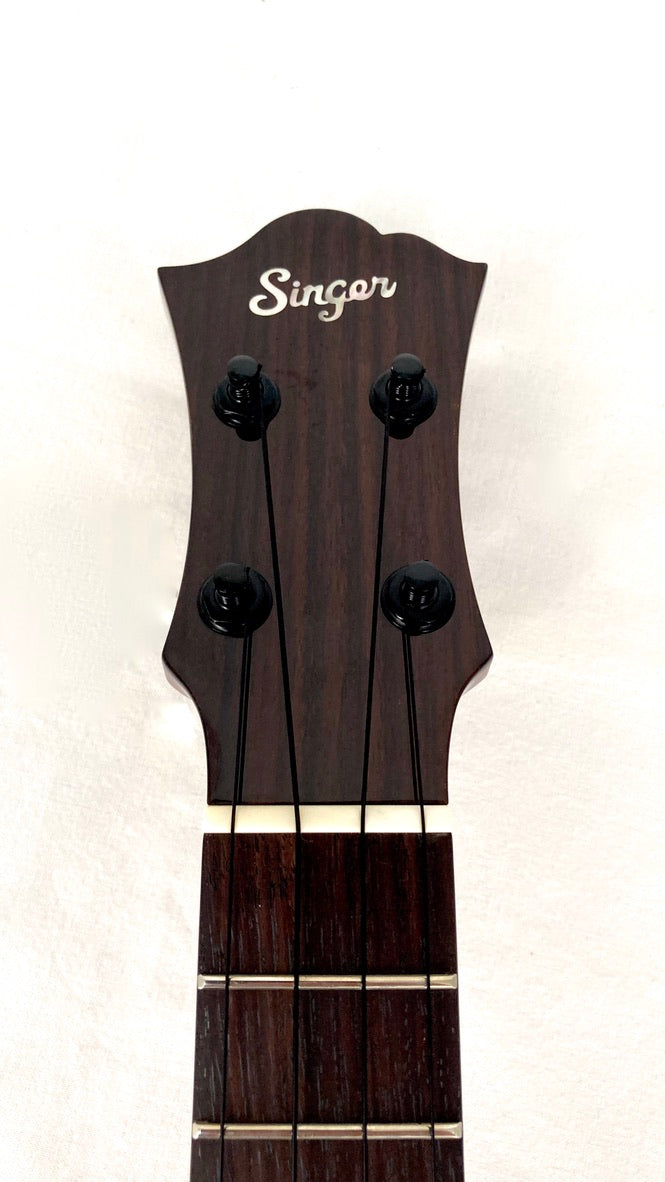 aNueNue Singer RC1K Concert