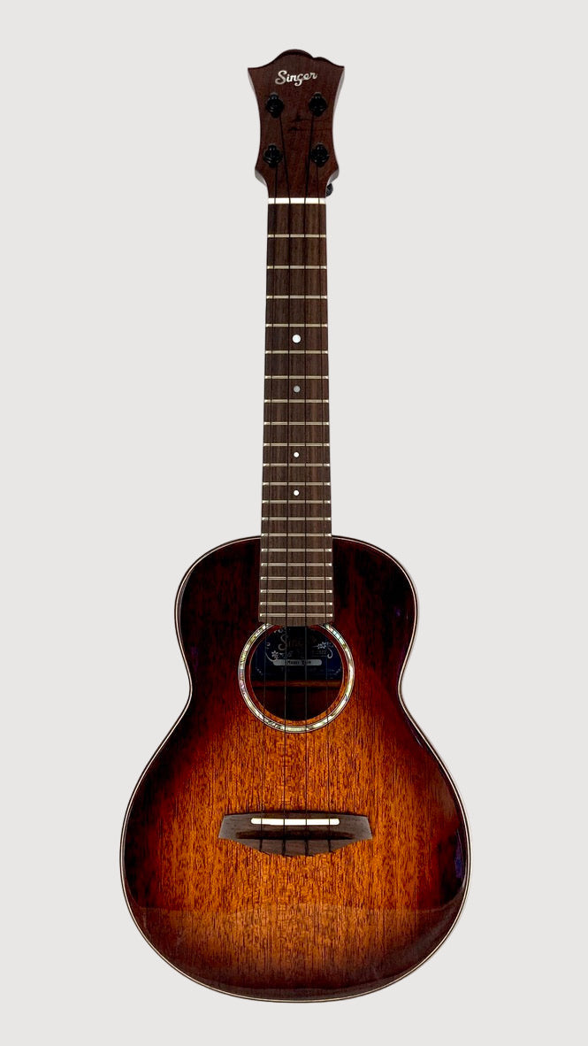 aNueNue Singer RC1M Concert