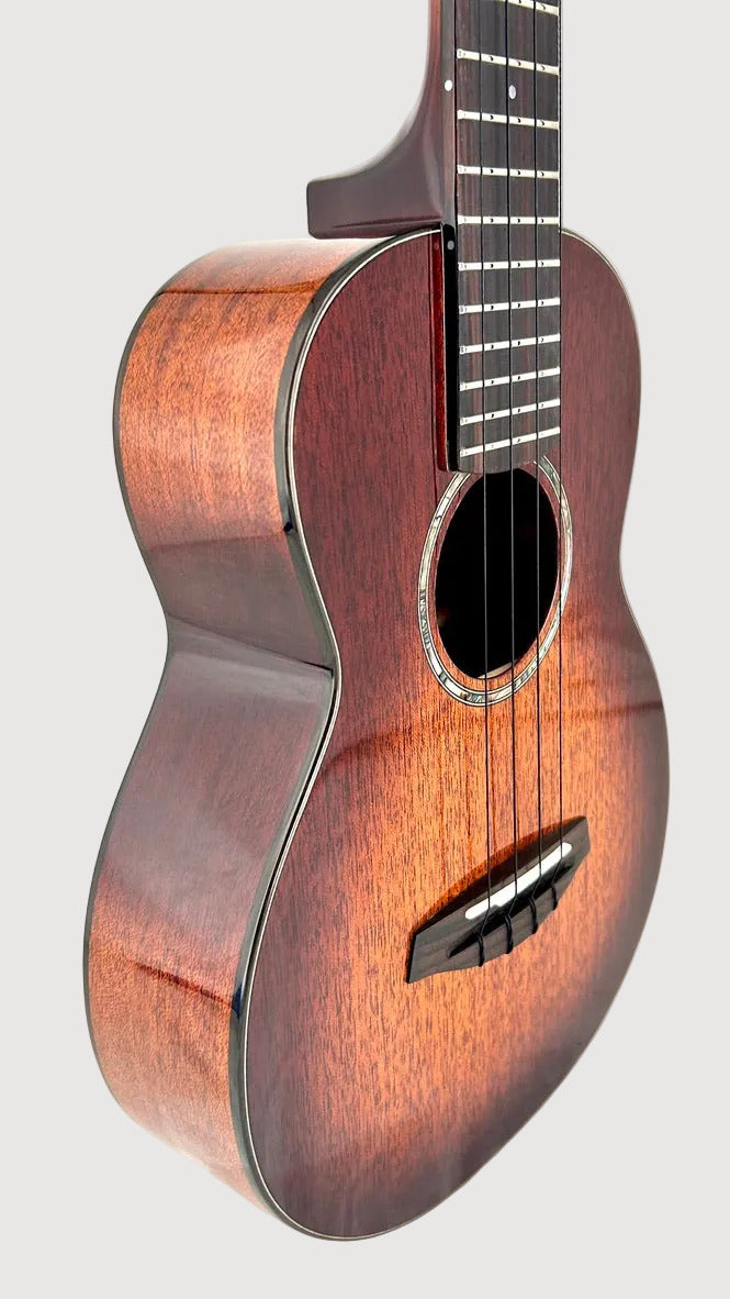aNueNue Singer RT1M