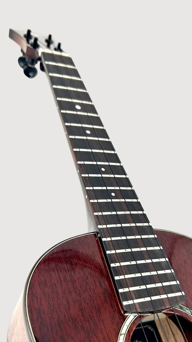 aNueNue Singer RT1M