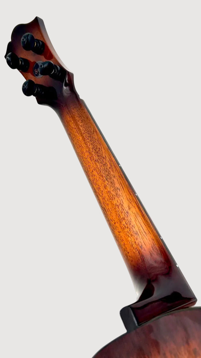 aNueNue Singer RT1M