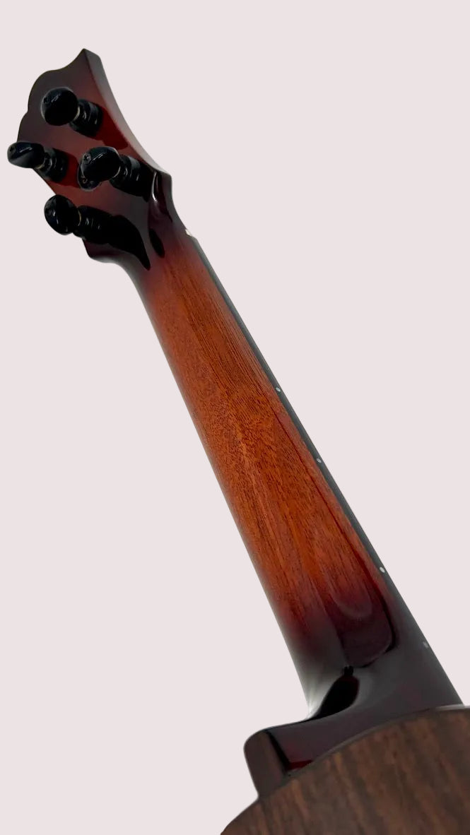 aNueNue Singer RT5R Cherry Sunburst