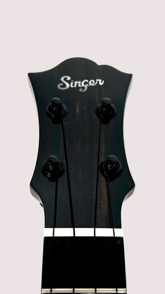 aNueNue Singer RT5R Cherry Sunburst