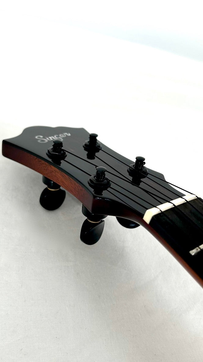 aNueNue Singer RT5R Cherry Sunburst