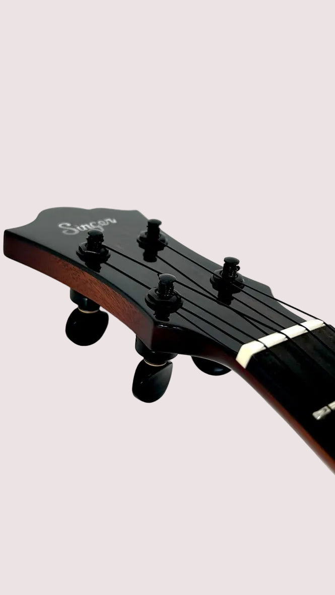 aNueNue Singer RT5R Cherry Sunburst
