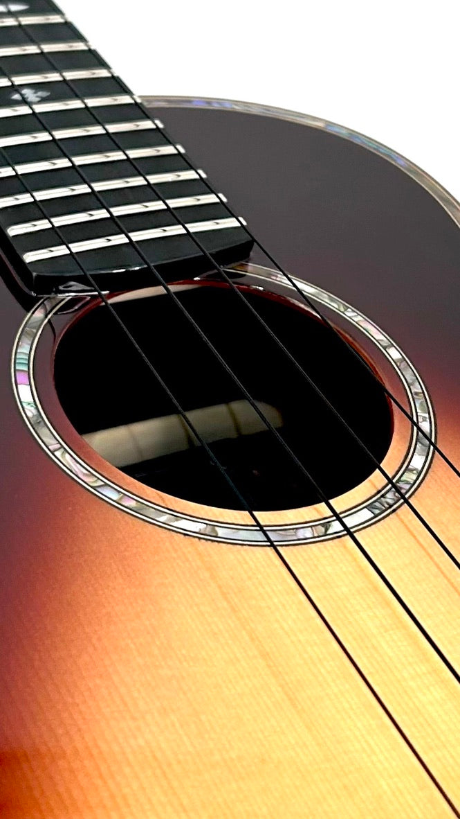 aNueNue Singer RT5R Cherry Sunburst