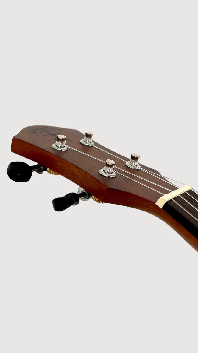 aNueNue T3 Tenor