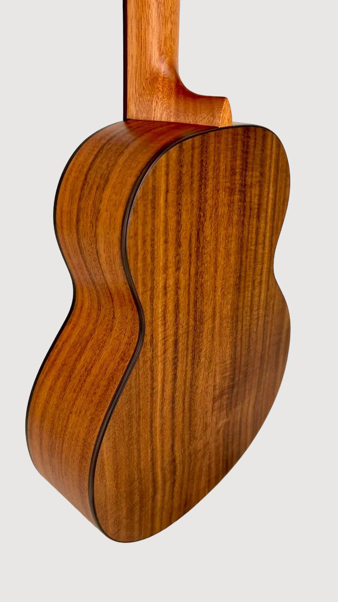 aNueNue T4 Tenor