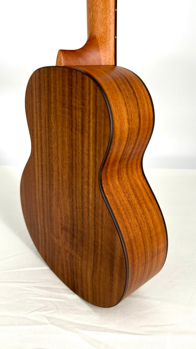 aNueNue T4 Tenor