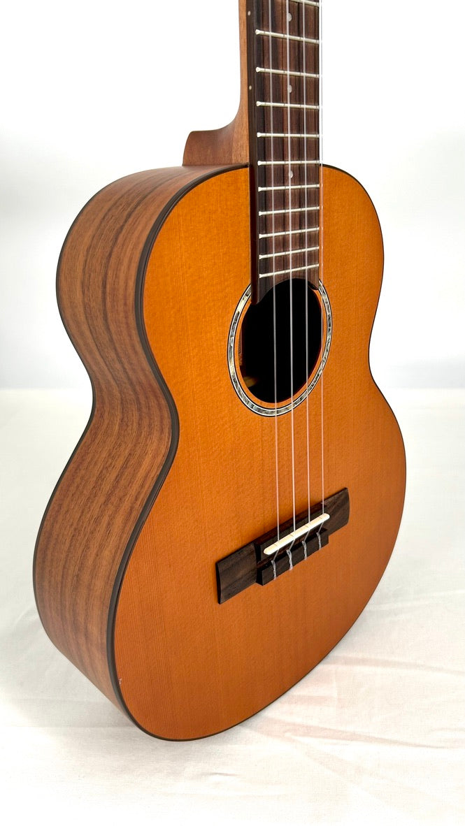 aNueNue T4 Tenor