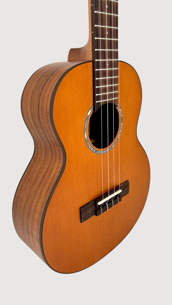 aNueNue T4 Tenor