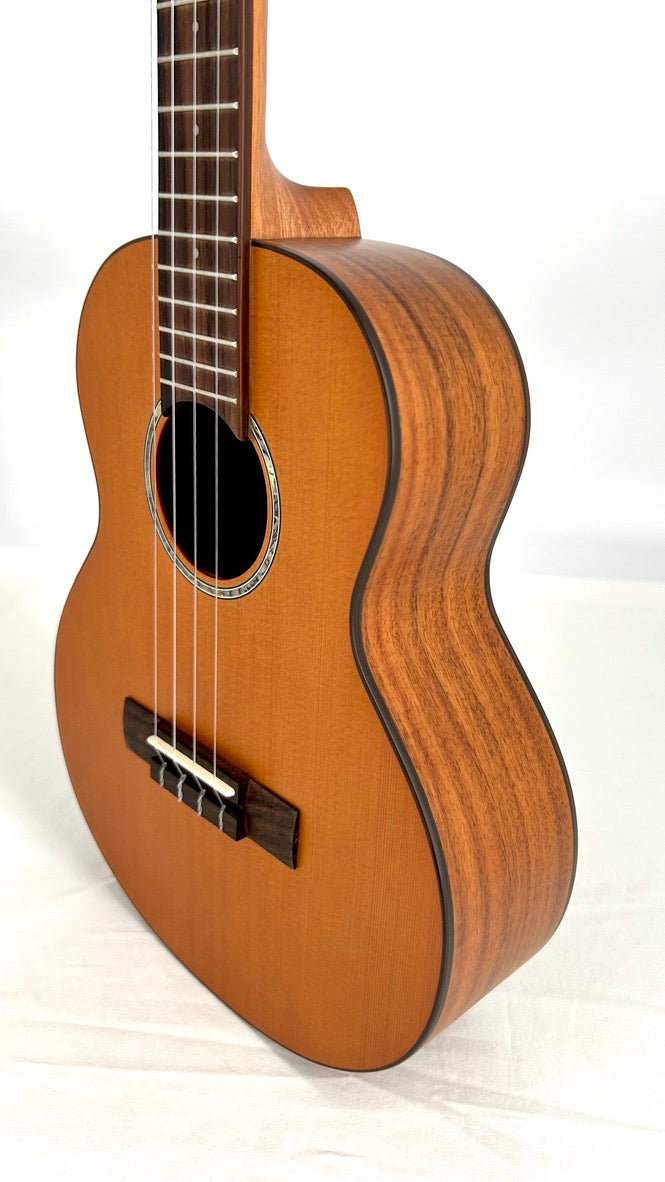 aNueNue T4 Tenor