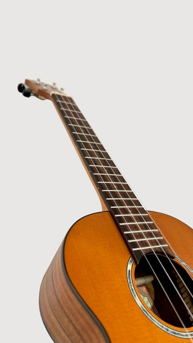 aNueNue T4 Tenor
