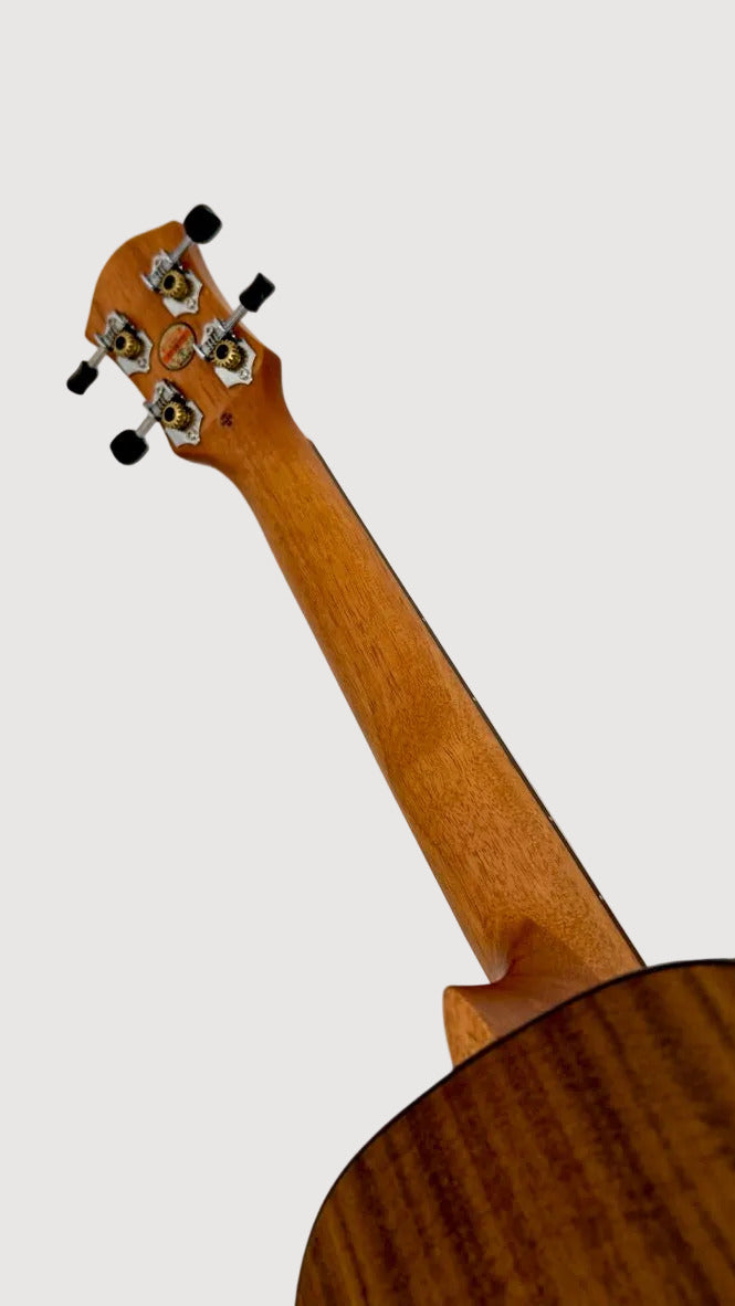 aNueNue T4 Tenor