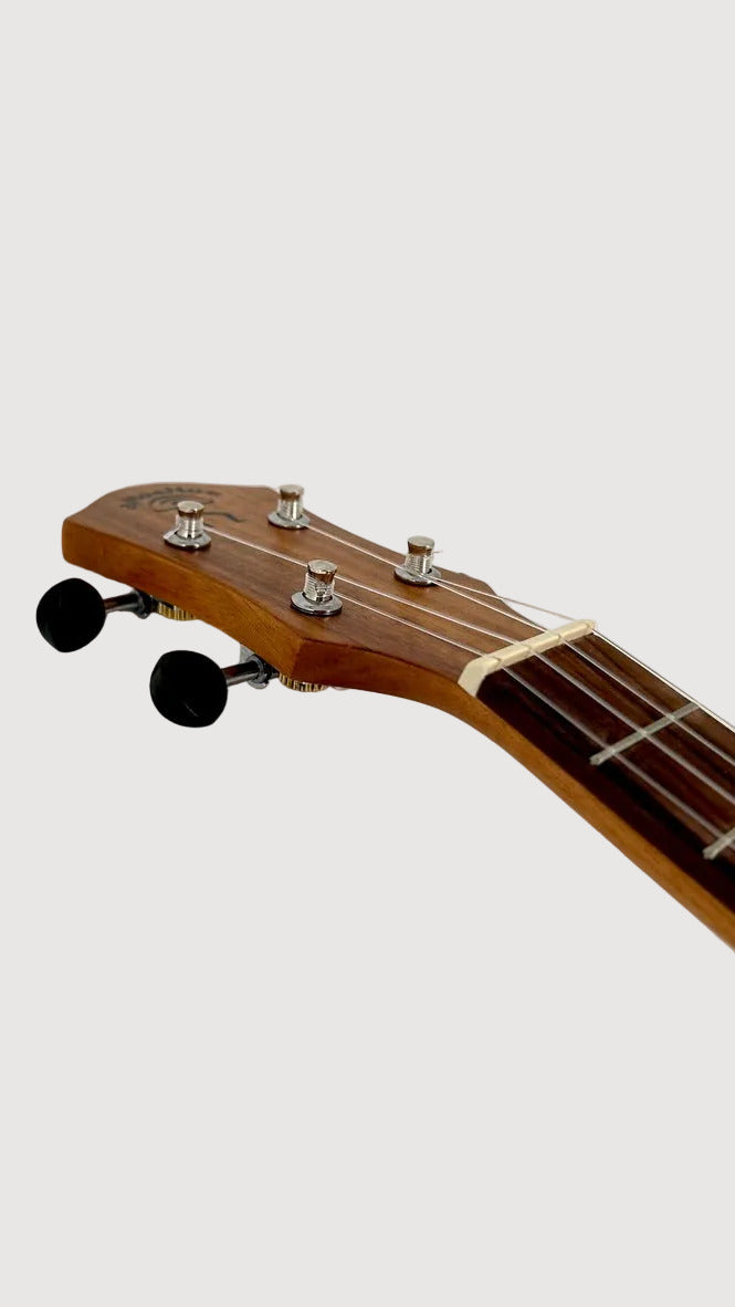 aNueNue T4 Tenor