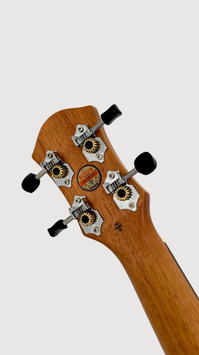 aNueNue T4 Tenor