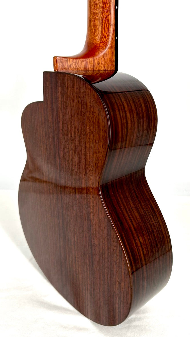 aNueNue UB200 Moonbird Bariton