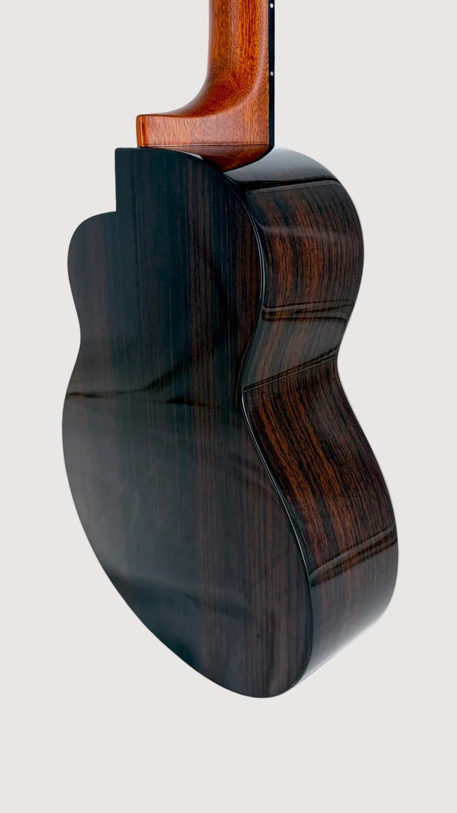 aNueNue UB200 Moonbird Bariton