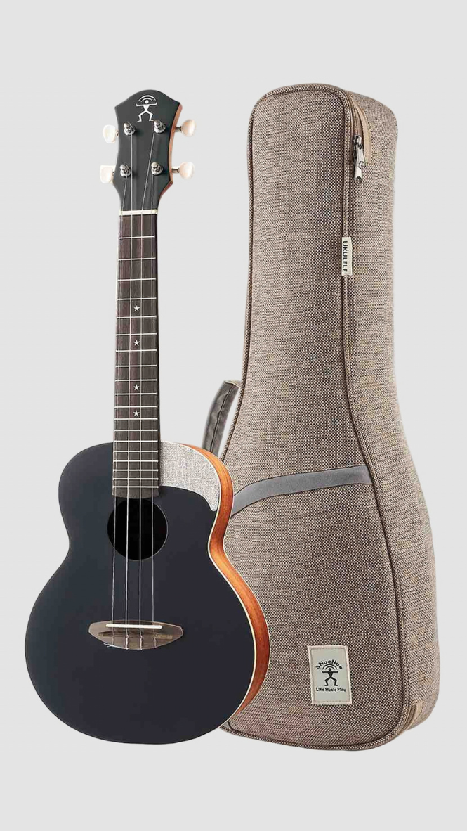 aNueNue UC-10 BB Concert