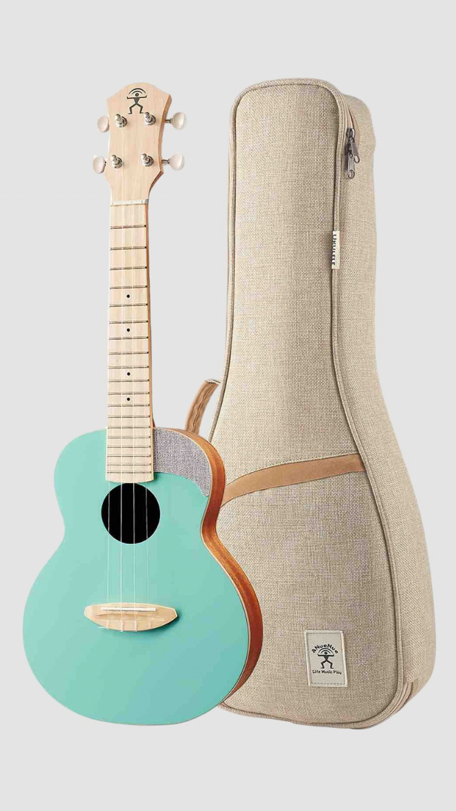 aNueNue UC-10 IG Concert