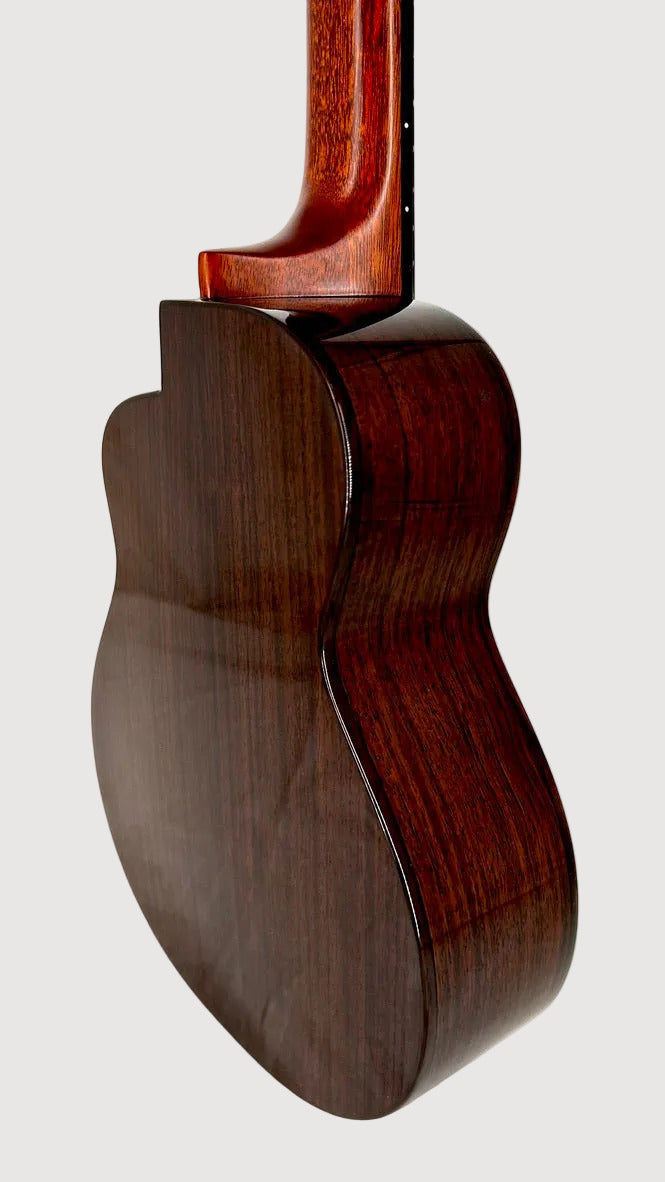 aNueNue UC200 Moonbird Concert