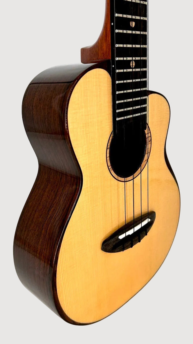 aNueNue UC200 Moonbird Concert