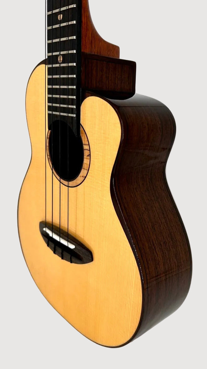 aNueNue UC200 Moonbird Concert