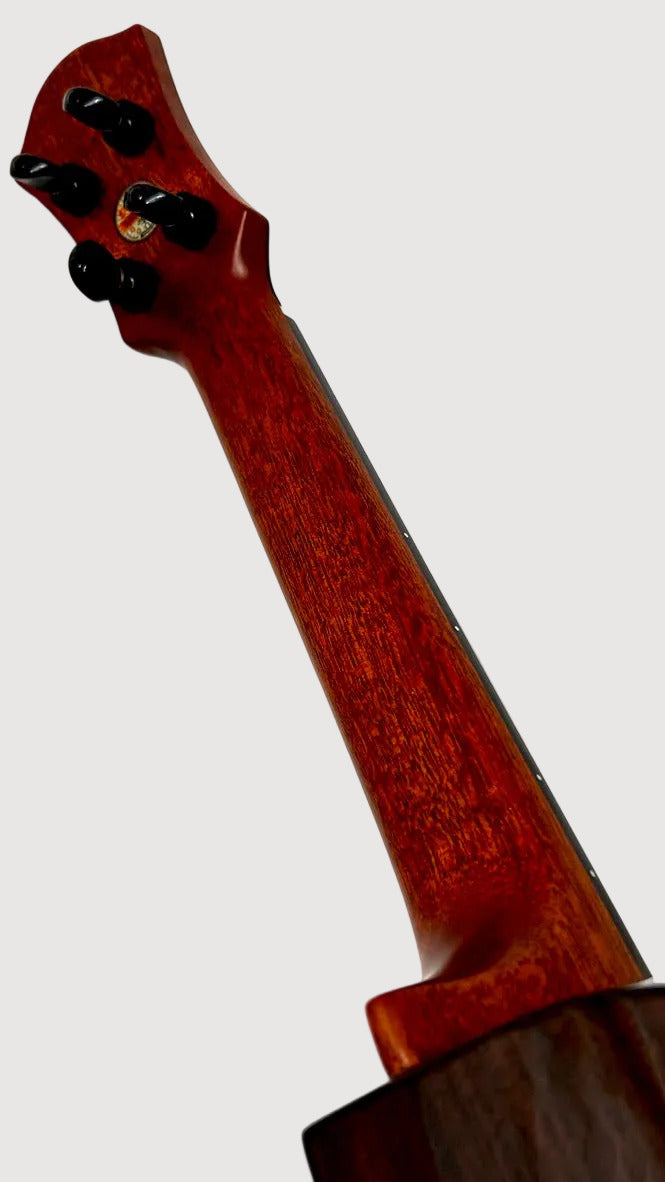 aNueNue UC200 Moonbird Concert