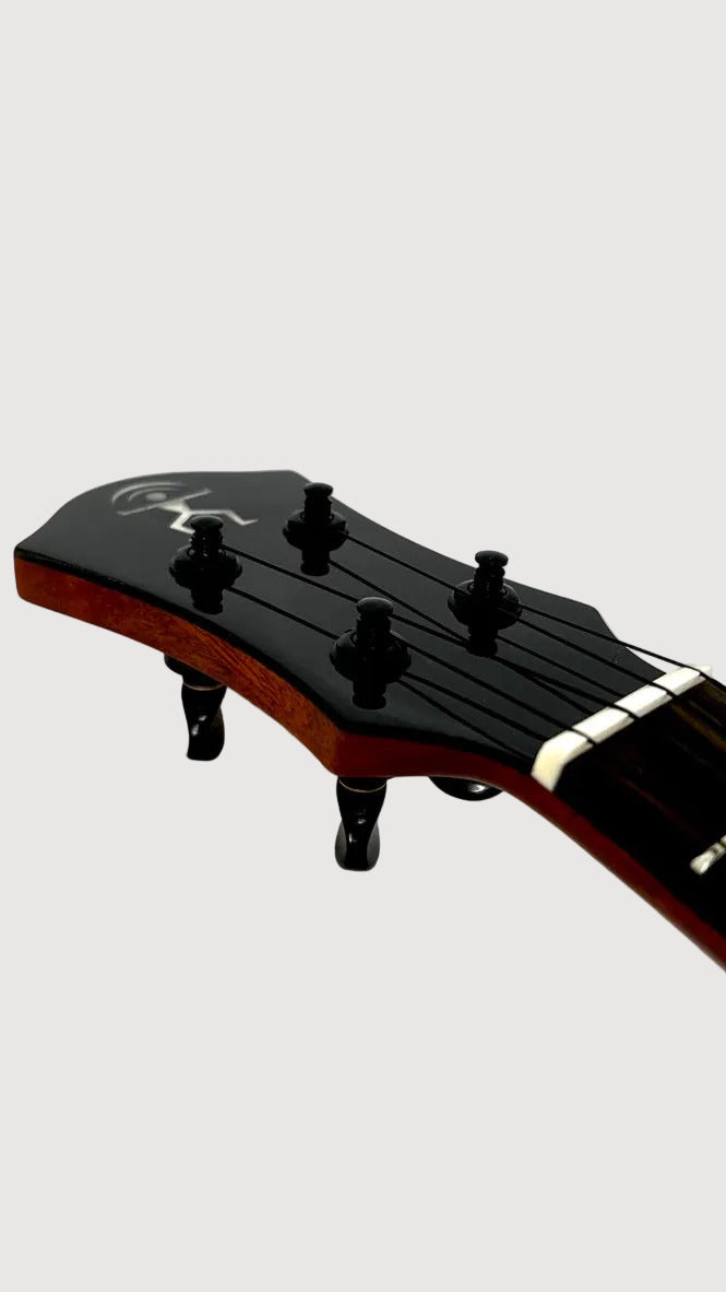 aNueNue UC200 Moonbird Concert