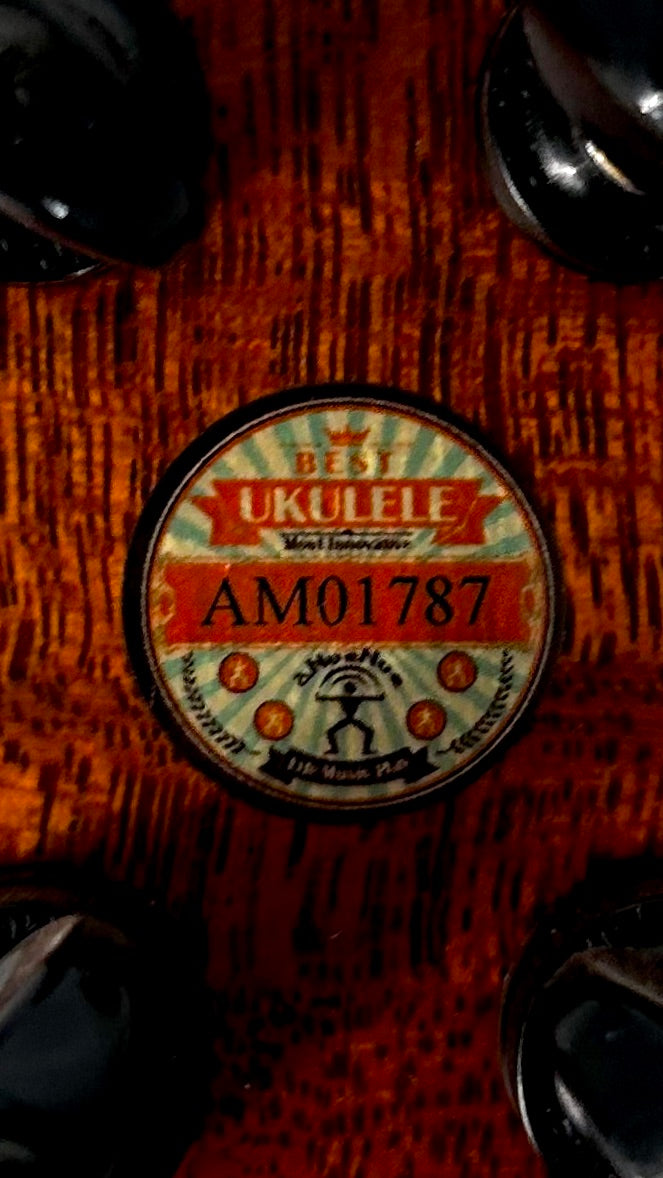 aNueNue UC200 Moonbird Concert