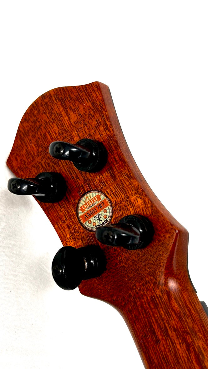 aNueNue UC200 Moonbird Concert