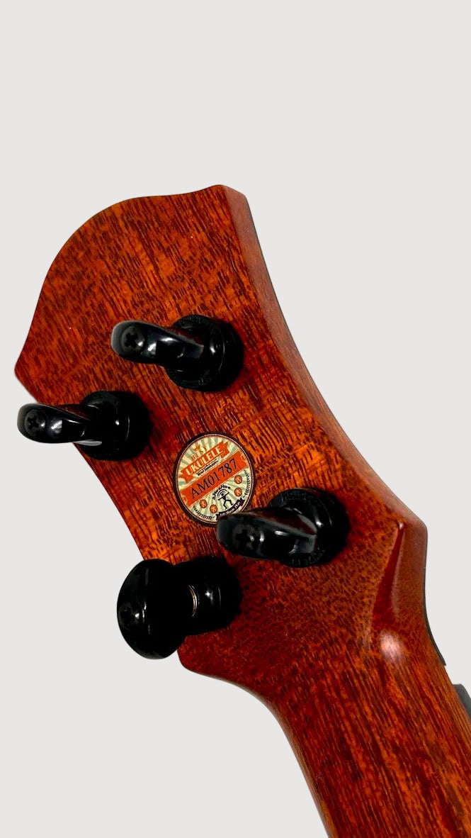 aNueNue UC200 Moonbird Concert