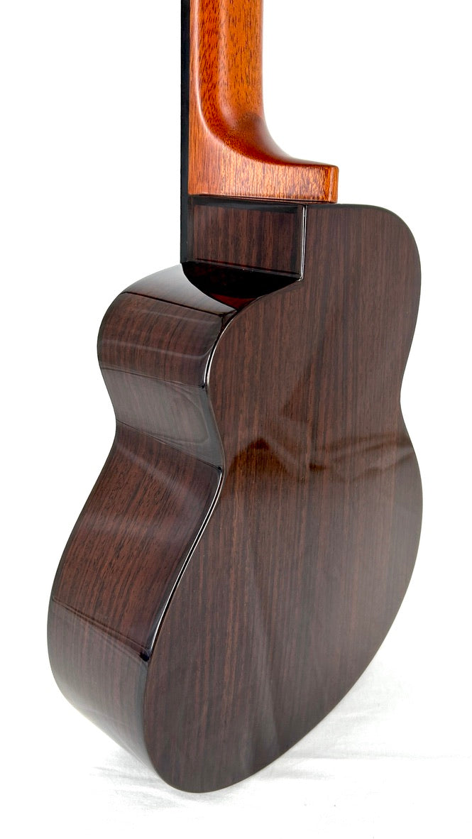 aNueNue UC200 Moonbird Concert