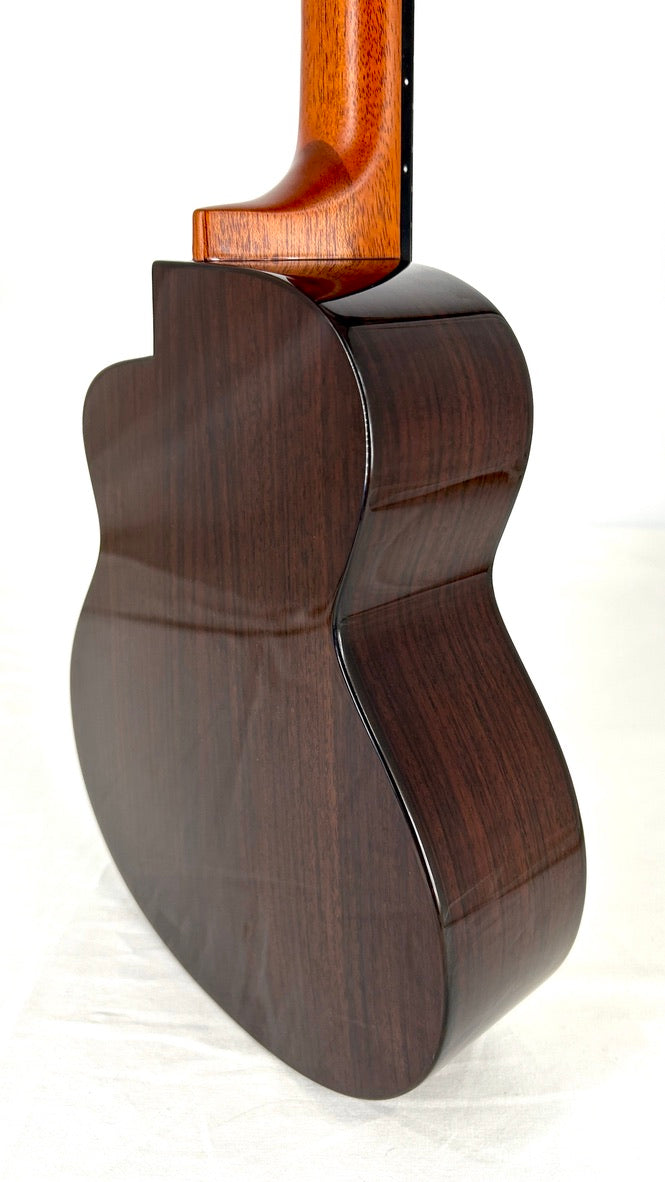 aNueNue UC200 Moonbird Concert