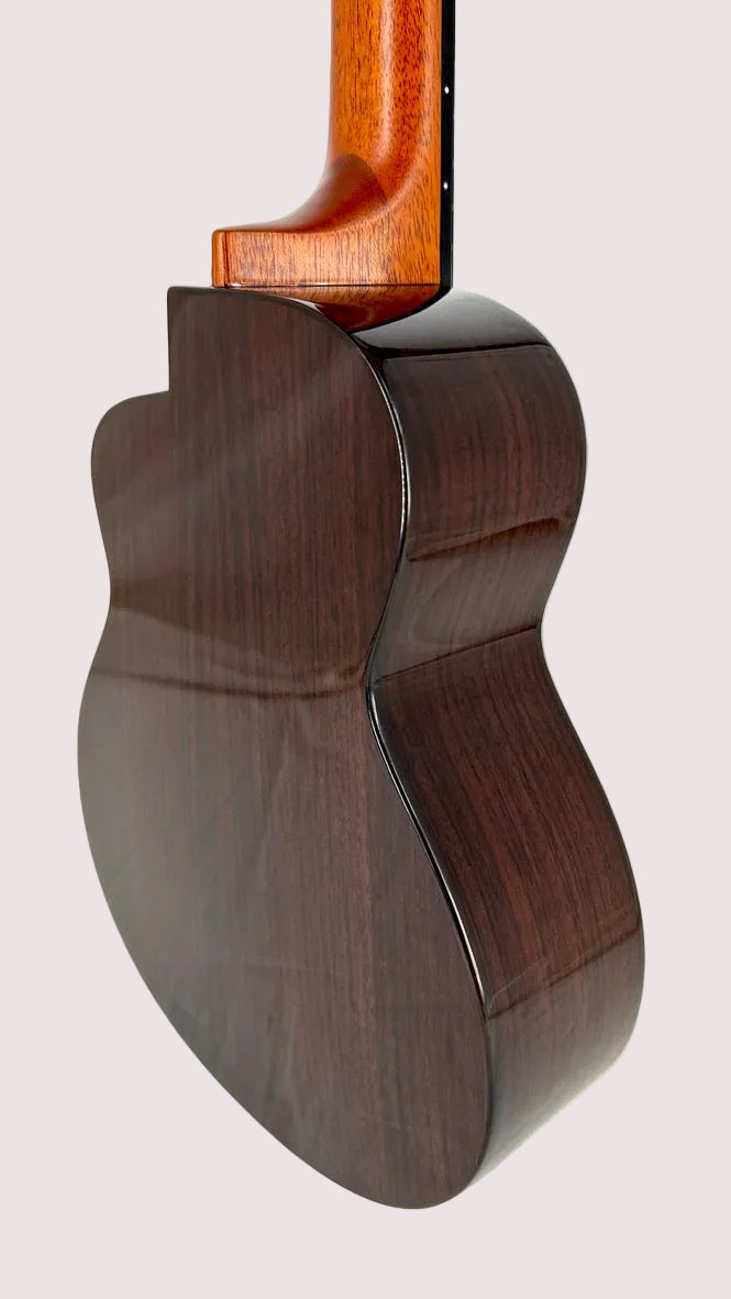 aNueNue UC200 Moonbird Concert