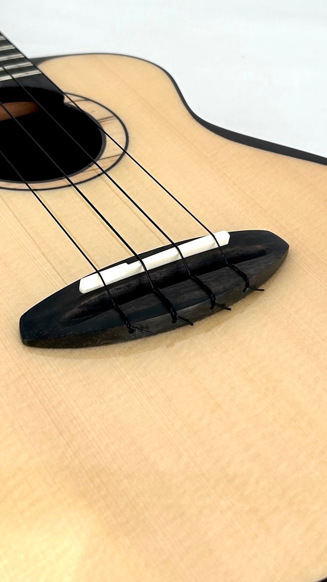 aNueNue UC200 Moonbird Concert