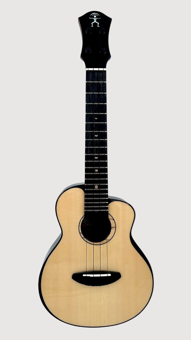 aNueNue UC200 Moonbird Concert