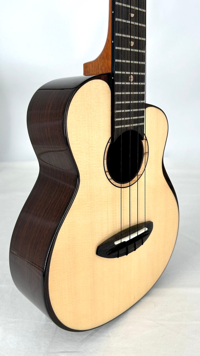 aNueNue UC200 Moonbird Concert