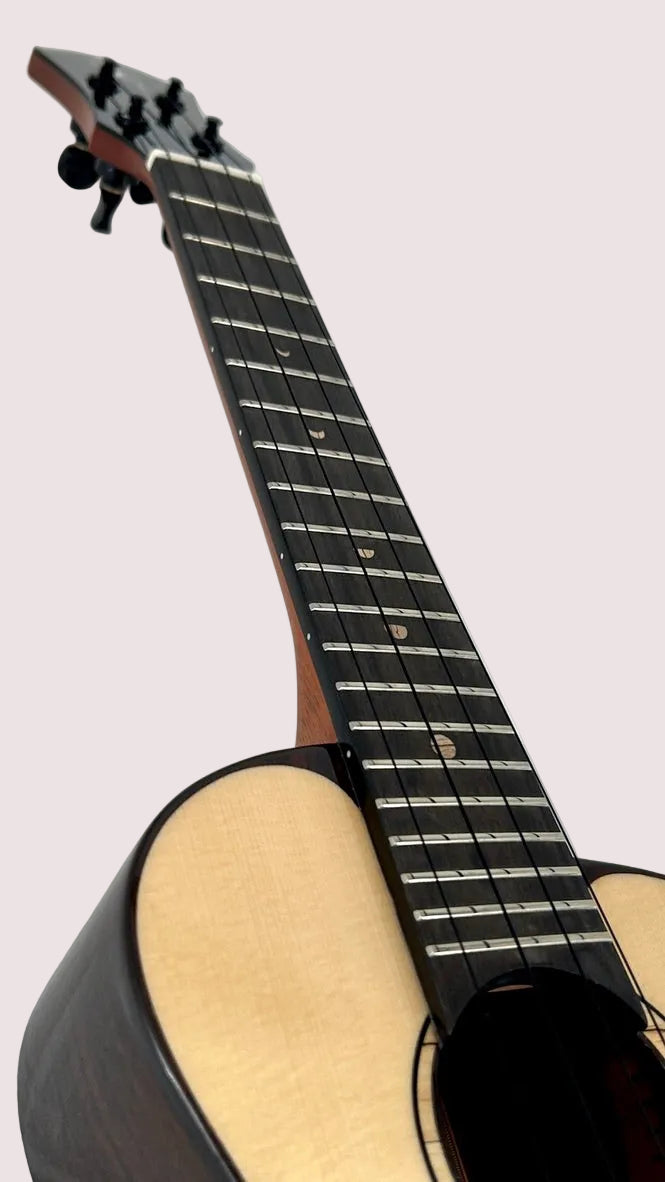 aNueNue UC200 Moonbird Concert
