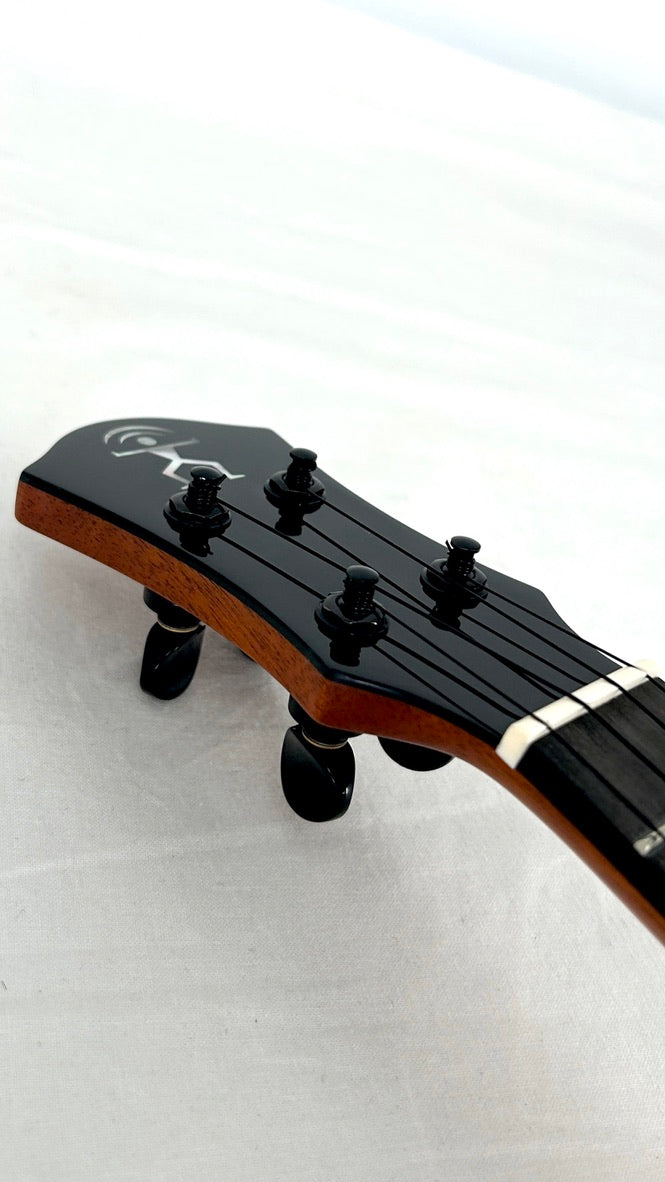 aNueNue UC200 Moonbird Concert