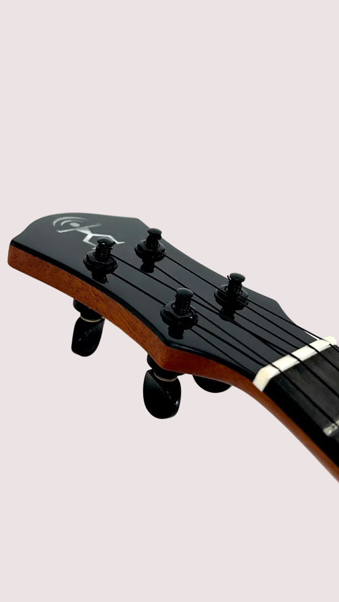 aNueNue UC200 Moonbird Concert