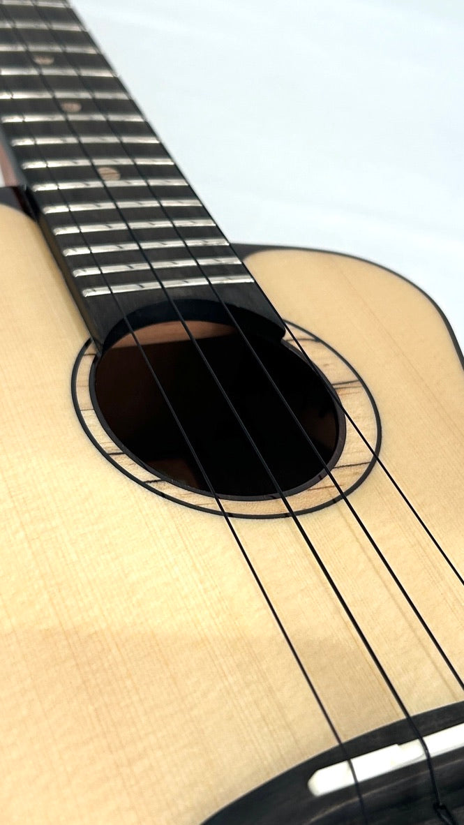 aNueNue UC200 Moonbird Concert